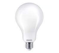 Philips Bombilla LED A95 E27 200W luz blanca fría, mate, no regulable