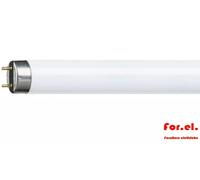 Philips Bombilla Neón Master Súper 80 1m 36W/830