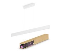 Philips Hue 929003053301 Lámpara inteligente, Hue Ensis, Lámpara Colgante LED Inteligente, Luz Blanca y de Colores, Compatible con Alexa y Google Home, Color Blanco