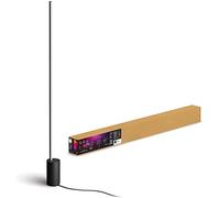 Philips Hue Gradient Signe - Lámpara inteligente, Lámpara de Pie LED Inteligente, Luz Blanca y Luces de Colores, sistema de iluminación con tira led Compatible con Alexa y Google Home, Color Negro