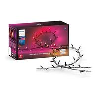 Philips Hue Guirnalda Festavia, Luz Blanca y de Colores, Regulable, 250 Micro LEDs, 20 m, Resistente al Agua, Compatible con Amazon Alexa, Echo, Echo Dot