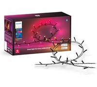 Philips Hue Guirnalda Festavia, Luz Blanca y de Colores, Regulable, 250 Micro LEDs, 20 m, Resistente al Agua, Compatible con Amazon Alexa, Echo, Echo Dot
