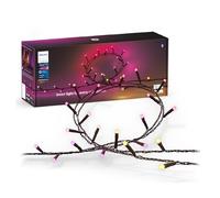 Philips Hue White and Color ambiance Guirnalda de luces Festavia