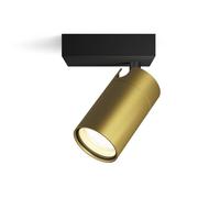 Philips Idris - Foco de Baño (1luz), bombillas GU10 no incluida, Latón, IP44, Resistente al agua