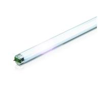 Philips - Lampara fluorescente TL-D, 30 Watt, Bombillas luce