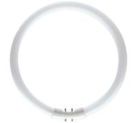 Philips Lámpara Fluorescente TL5 60W/840 2GX13 Tubo Circular 4000K Neutral