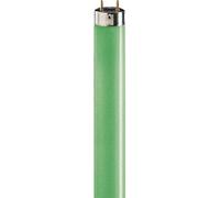Philips Lámpara Lámpara fluorescente TL-D 18 W/17 EAN: 8711500642981