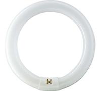 TUBO FLUORESCENTE CIRCULAR 22W Ø21cm TRIFOSFORO 865K LUZ FRIA PHILIPS