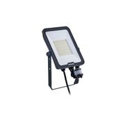 Philips Proyector LED Ledinaire BVP167 50W 6000lm 110D - 830-840-865 CCT | IP65 - Detector de Movimiento y Luz - Simétrico