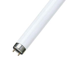 PHILIPS Licht GmbH De Luxe Pro TLD 18 W/940 blanco frío