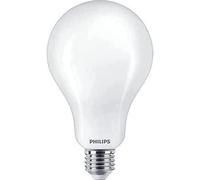 Philips - Bombilla LED cristal 200W A95 E27 luz blanca fría, mate, no regulable