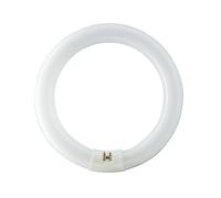 Philips Master Lámpara Fluorescente Tl-E 32W 840 Circular Super 80 G10q Aro Tubo