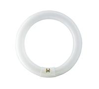 Philips Master Lámpara Fluorescente Tl-E 40W 840 Circular Super 80 G10q Aro Tubo