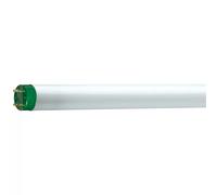 Philips MASTER TL-D Eco Lámpara Fluorescente 51,4 W G13 Blanco Frío