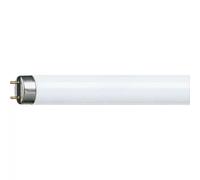 Philips MASTER TL-D Super 80 Lámpara Fluorescente 36W T8 2700°K G13 1200Mm Luz
