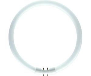 Philips MASTER TL5 Circular rund 40W 840 30.5 8711500642233