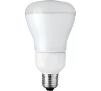 Philips Ple20Ref84 Pl-E Reflector R80 20W CW E27 230-240V 6500K Fría