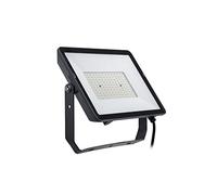 Philips - Proyector LED Profesional Projectline 100W Luz blanca cálida 3000K