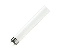 Philips TL-D 840 - Lámpara fluorescente (25 unidades, 58 W)