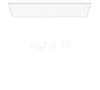 Philips - Plafón Philips Tuch Ceiling, lámpara LED de techo funcional, color blanco, luz blanca cálida regulable, 40K - 36W