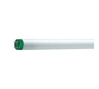 Philips Tubo De Luz MASTER TL-D Eco - T8, 840 Blanco Neutro - 51W - Lámpara