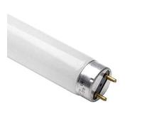 Philips Tubo fluorescente 865 de luz diurna de 18 W T8 de 600 mm