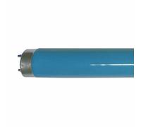 Philips Tubo Fluorescente Master Tl-D - T8, 180 Azul - 36W - Luz Tubo [EEK: C]
