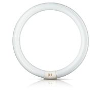 Philips Tubo Fluorescente TL-E 32W/865 G10q Circular Luz Diurna Fría