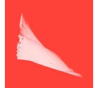 Phill Niblock - G2 44 / X2