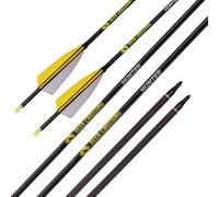 PHILOCS 12 Piezas ID 6.2mm Flechas de Caza, Spine: 300 350 400 500 600 700 800 Flecha de Tiro con Arco, 4 Pulgadas Pluma de Pavo Flecha de Carbono-Puro (Spine 300, 30inch)