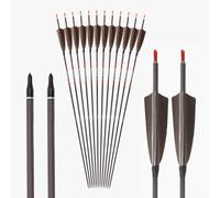 PHILOCS 12 Piezas Plumas Marrones Flechas Spine 800 ID 6,2 mm Flecha de Caza, Pluma de Pavo de 4 Pulgadas, para Tiro con Arco