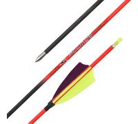 PHILOCS 12 Pz Eje Naranja Flechas de Caza ID 4,2 mm Spine 900 Flecha de Carbono-Puro, 3" Amarillo Morado Pluma de Pavo
