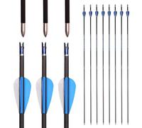 PHILOCS 12 pz Flechas de Carbono-Puro Spine 250 Flecha de Caza, ID 4.2mm Flecha de Práctica, para Arco Recurvo Arcos Compuestos Tiro con Arco (Spine 250, 29inch)