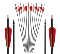 PHILOCS 12 Pz Flechas de Tiro con Arco ID 6,2 mm Gold Label Flecha de Práctica, Spine 350 Flecha de Caza 4 Pulgadas Rojo Verde Plumas de Pavo