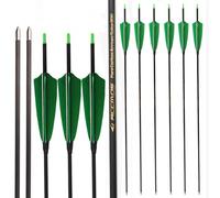 PHILOCS 12 pz Flechas de Tiro con Arco, Spine 700 ID 4,2 mm Etiqueta Dorada Eje de Carbono para Caza Tiro Práctica (29inch)