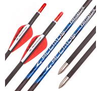 PHILOCS 12pz Flechas de Carbono ID 4.2mm Rojo Blanco Pluma Spine 300 350 400 500 600 700 800 900 1000 Caza Flecha de Práctica para Arco Compuesto Arco Recurvo Tiro con Arco (Spine 1000, 30inch)