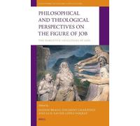 Philosophical and Theological Perspectives on the Figure of Job: The Disruptive Challenges of God: 41 (Philosophy of History and Culture, 41)