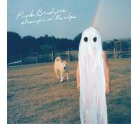 Phoebe Bridgers Stranger in the Alps (Vinyl) 12" Album (Importación USA)