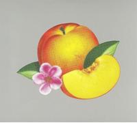 Phoenix - Bankrupt!
