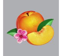 Phoenix - Bankrupt! [Vinilo]