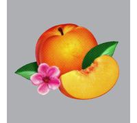 Phoenix Bankrupt (Vinyl)