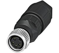 Phoenix - Conector enchufable sacc-m8fs-4qo-0,25-m