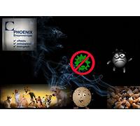 Phoenix Enzymreiniger - Eliminador de olor a nicotina, olor a cigarrillos, olor a quemado, 1 x 20 g, produce 1,0 l - 1,5 l limpiador enzimático (5, 20 g)