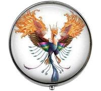 Phoenix Fire Bird Rise from The Ashes Reborn New Start Rising Phoenix - Caja de pastillas de fotos artísticas, caja de pastillas, caja de cristal para caramelos