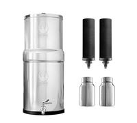 Phoenix Gravity -Sistema de filtración de agua por gravedad AISI 304 de 8 litros, 2 filtros Carbon, 2 elementos de eliminación de flúor de acero inoxidable POSTreat, grifo de acero inoxidable gratuito