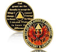 Phoenix in Fire - Moneda de sobriedad de 5 años, Reborn in a Fire Chip sobrio de cinco años, chips AA y medallón, moneda AA de recuperación, regalos de sobriedad anónimos para hombres y mujeres