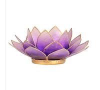 PHOENIX Portavelas de té Flor de Lotus Capiz Claro púrpura 13.5 cm