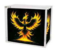 PHOENIX SHIELD | Caja Acrílica ETB con Tapa - Protección para Display