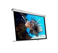 Phoenix Pantalla de Proyector Manual Plegable 1:1 / 4:3 / 16:9 / 135"