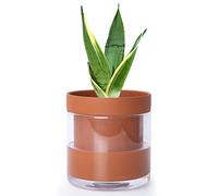 Phoenix Vine Maceta de riego automático de 6 Pulgadas, Maceta de Arcilla de Terracota con depósito de Vidrio para Plantas de Interior, Hierbas, Flores, Juego de 1, 52-A-F-1